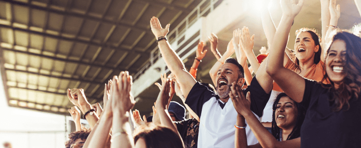 sports fans cheer at a stadium