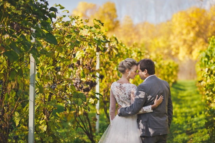 a bride and a groom in a vineyard